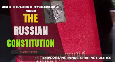 Russia's Constitution: Separation of Powers Explained