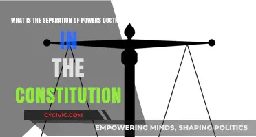 Separation of Powers: Constitution's Core Principle Explained