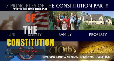 Understanding the Constitution: Seven Principles Explained