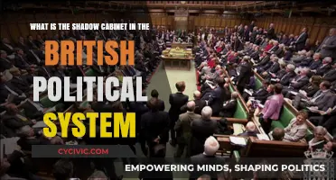 Understanding the Shadow Cabinet in British Politics