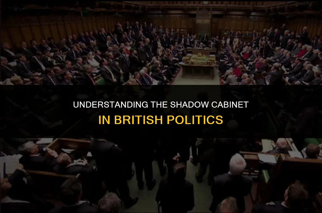 what is the shadow cabinet in the british political system