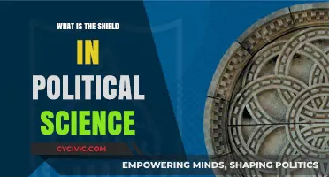 Understanding the Concept of a Shield in Political Science