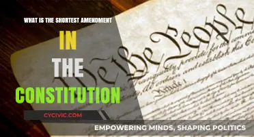 The Shortest Amendment: A Powerful Statement
