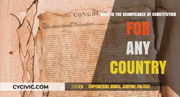 The Constitution: A Country's Foundation and Future