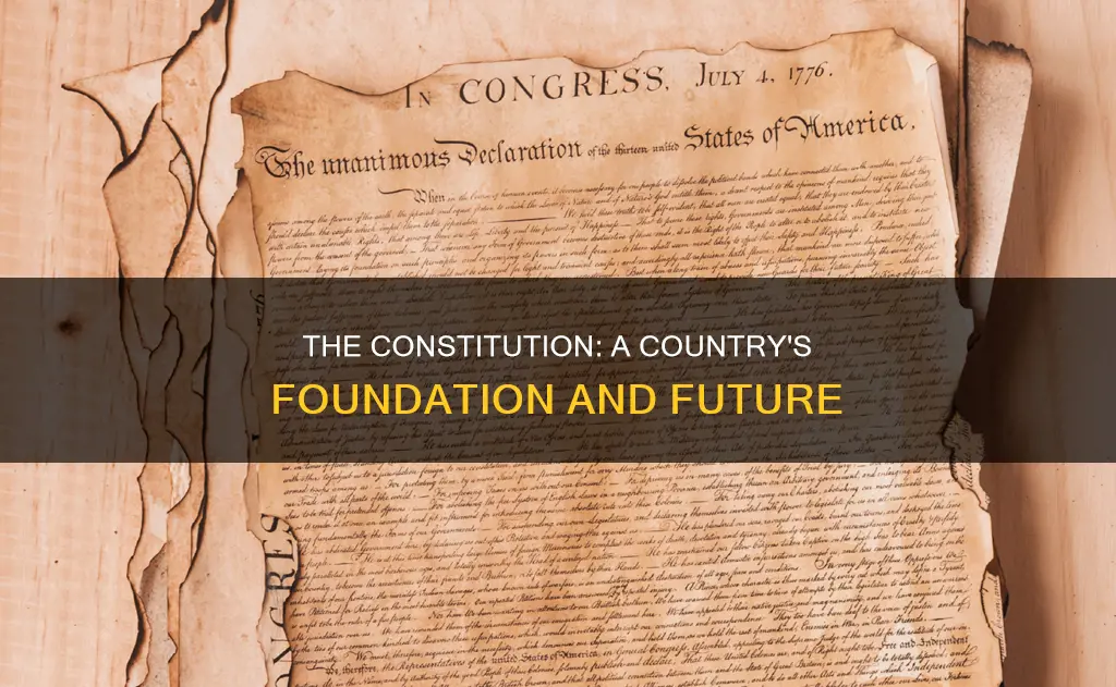 what is the significance of constitution for any country
