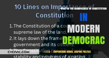 Constitution: Democracy's Foundation and Future
