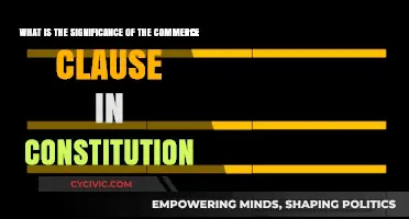 Understanding the Constitution's Commerce Clause