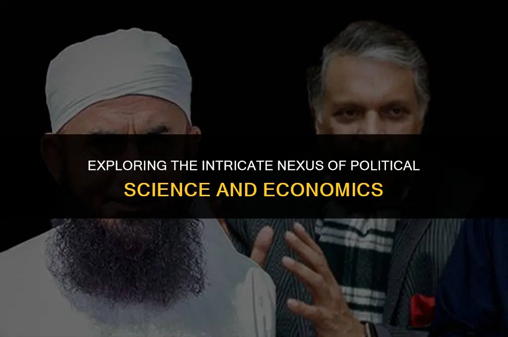 what is the significant relationship between political science and economics
