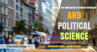 Exploring the Intersection: Sociology and Political Science