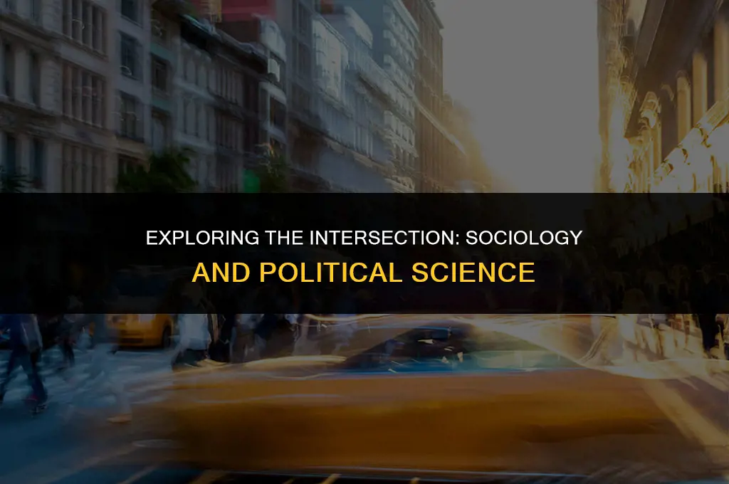 what is the similarities between sociology and political science