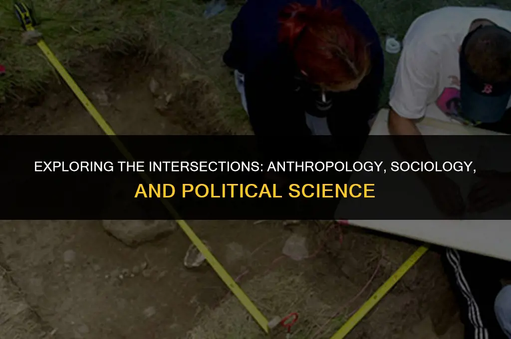 what is the similarities of anthropology sociology and political science