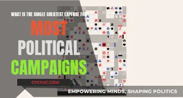 The Cost of Democracy: Political Campaign Expenses