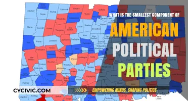 Unveiling the Core: Exploring the Smallest Units of American Political Parties