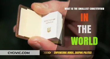 Short and Sweet: The Smallest Constitutions Globally