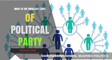 Exploring the Grassroots: Understanding the Smallest Political Party Units