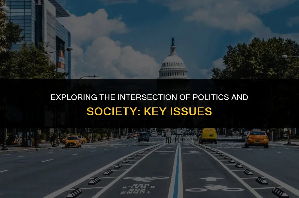 what is the social issues of political science