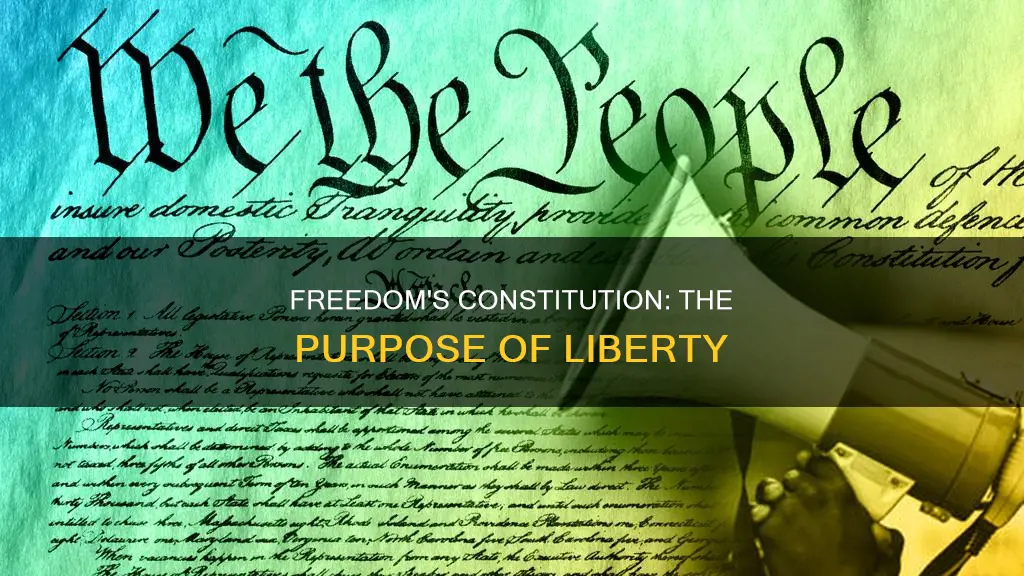 what is the sole purpose of freedom constitution