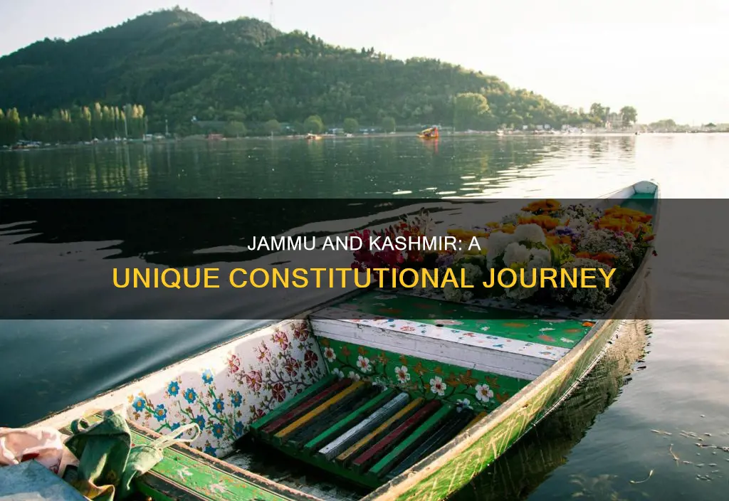 what is the special constitutional position of jammu and kashmir