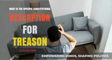 The Legal Definition of Treason: A Constitutional Overview