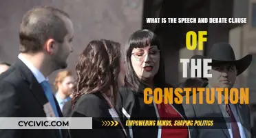 Speech and Debate Clause: Constitutional Cornerstone