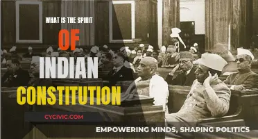 Spirit of Indian Constitution: Democracy, Liberty, Equality