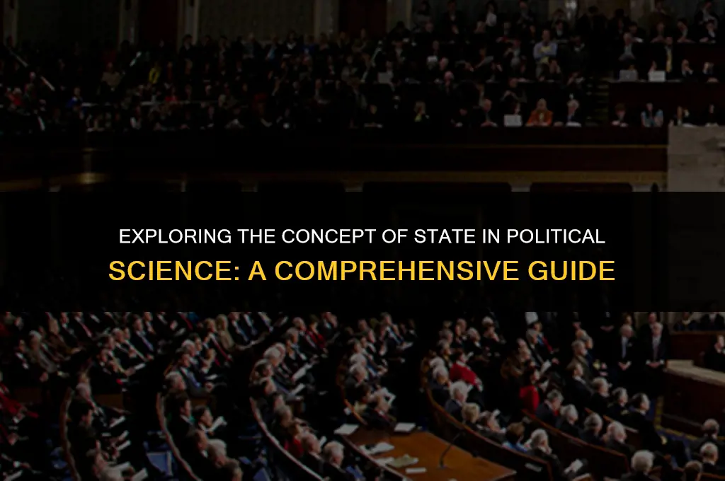 what is the state in political science