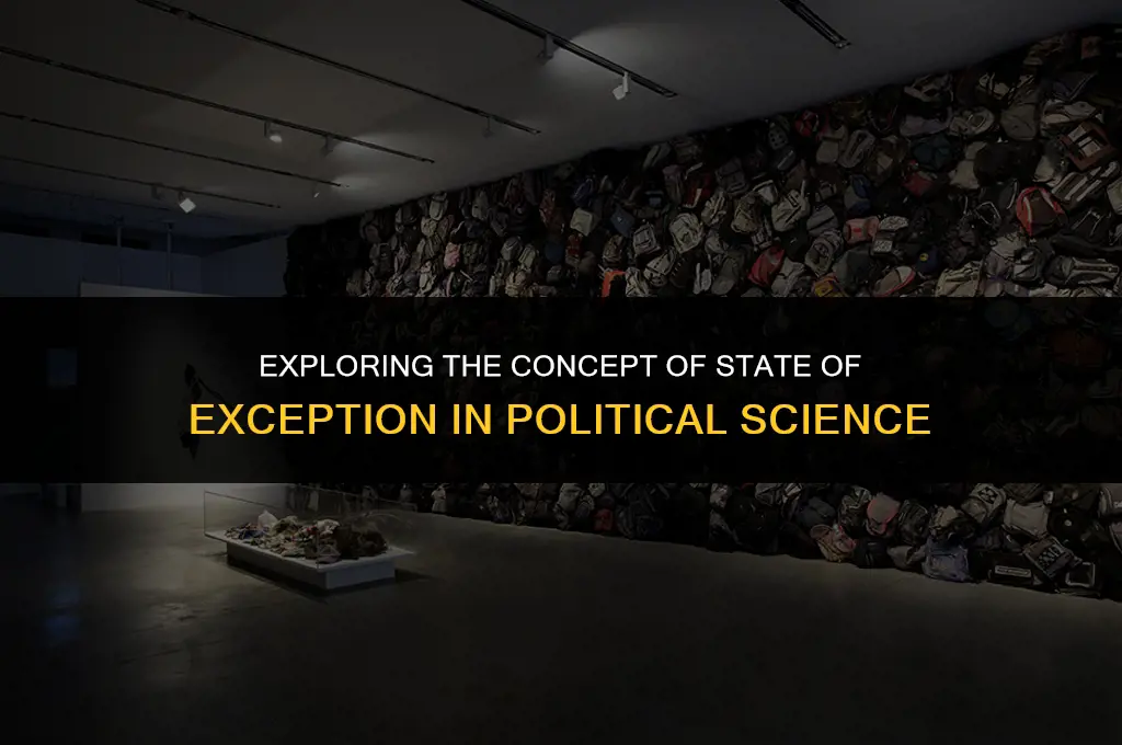 what is the state of exception in political science