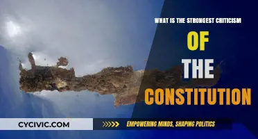 Founding Flaws: The Constitution's Biggest Criticism