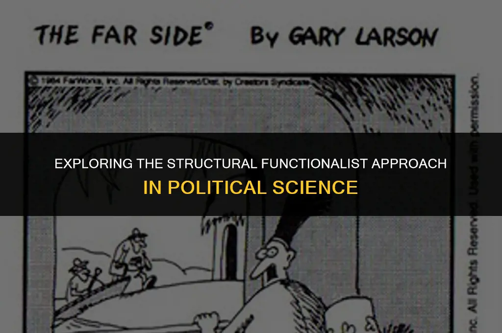 what is the structural functionalist approach in political science