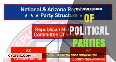 Understanding the Organizational Framework of Political Parties: A Comprehensive Guide