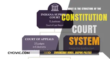 The Constitutional Court System: Structure and Function