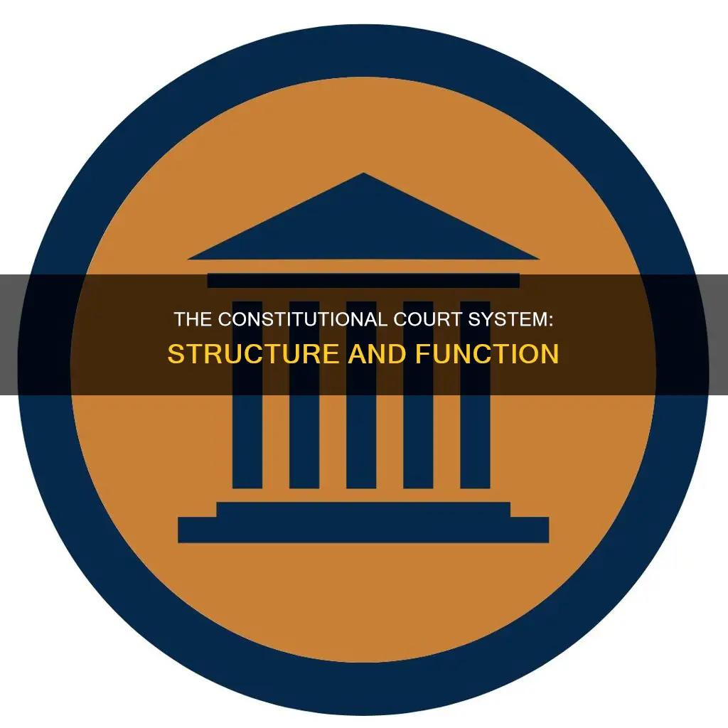 what is the structure of the constitutional court system