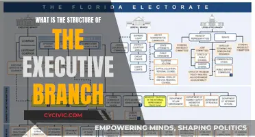 The Executive Branch: Structure and Hierarchy Explained