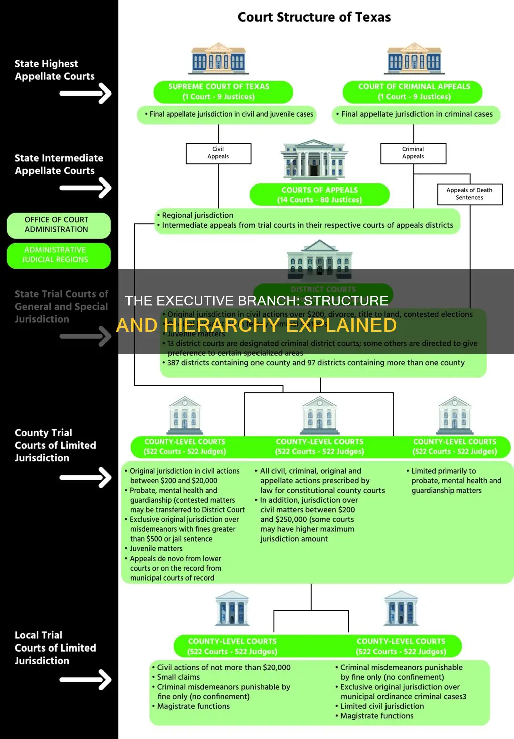 what is the structure of the executive branch