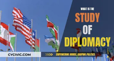 Diplomacy's Academic Exploration: Understanding Diplomatic Studies
