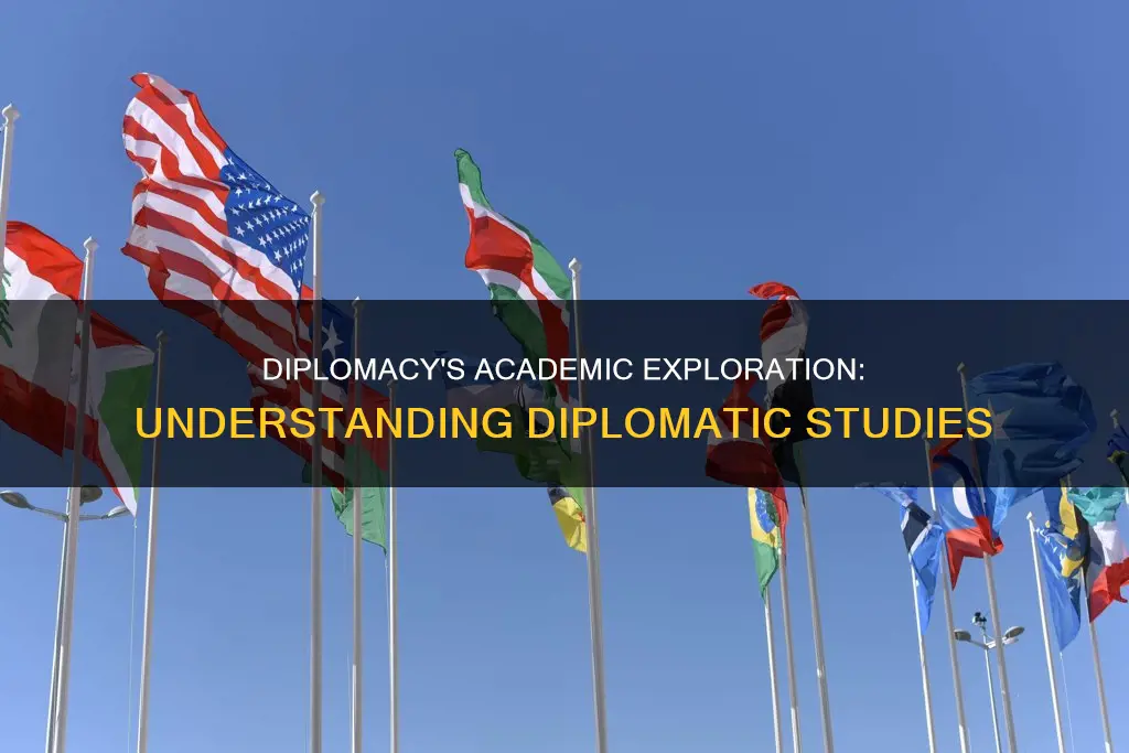 what is the study of diplomacy