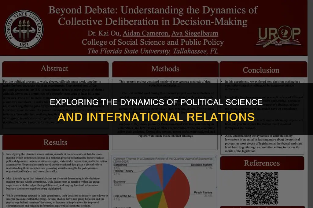 what is the study of political science and international relations