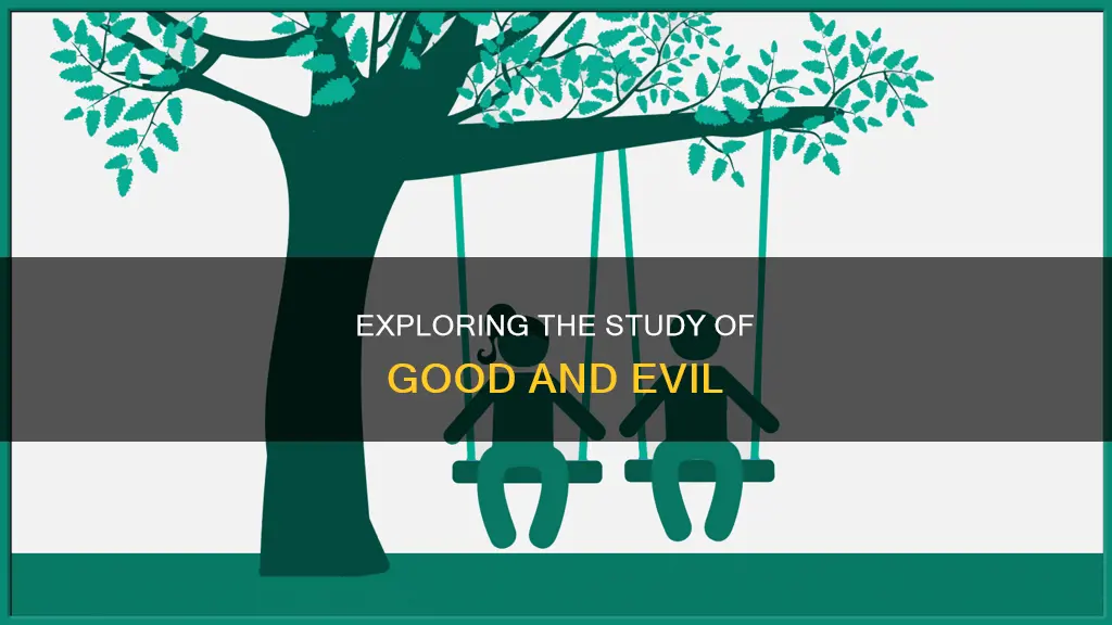 what is the study of what constitutes good and bad
