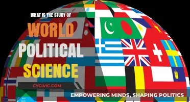 Exploring Global Politics: The Essence of World Political Science