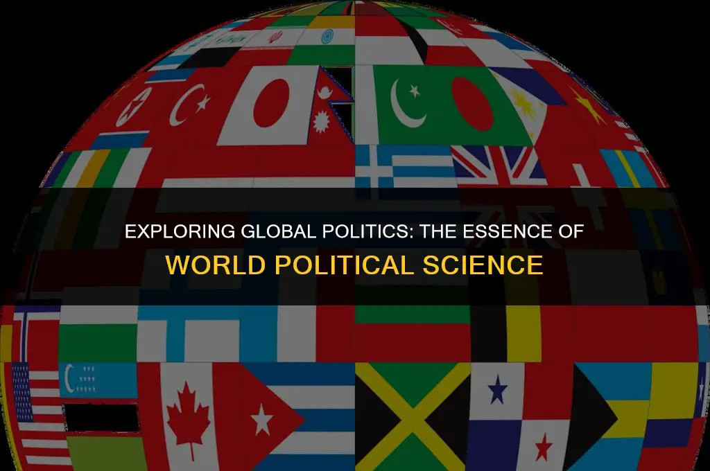 what is the study of world political science