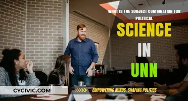 Exploring Political Science Subject Combinations at UNN