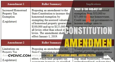 Amending the Constitution: Understanding the Process