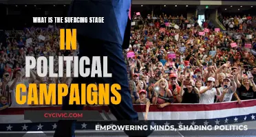 Unveiling Strategies: Political Campaigns' Surfacing Stage