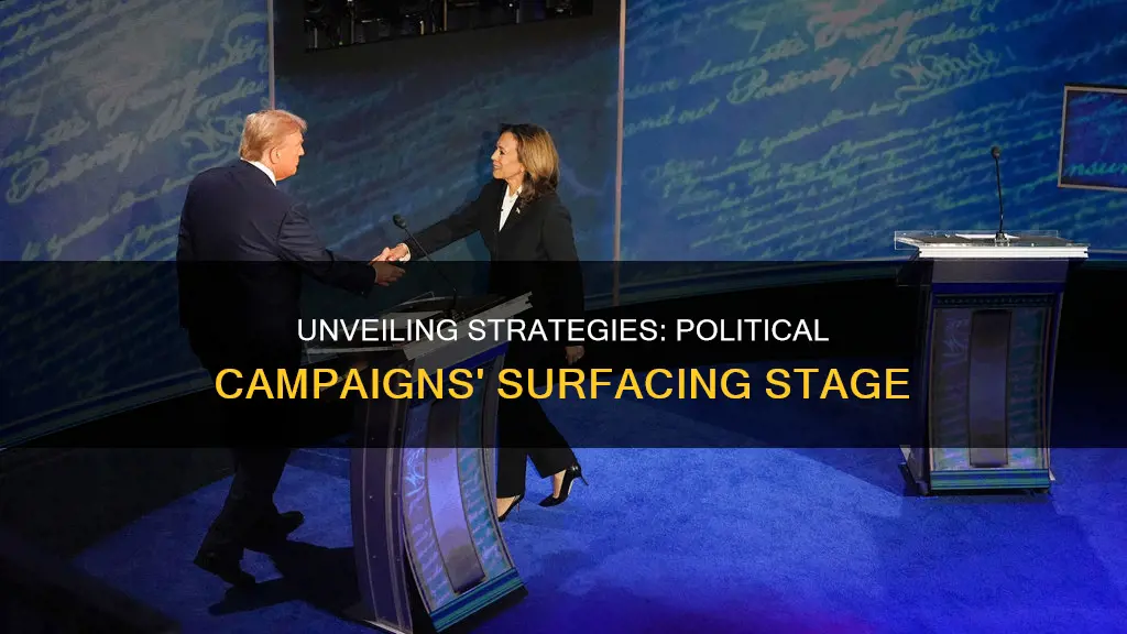 what is the sufacing stage in political campaigns