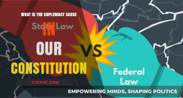 The Constitution: Supreme Law of the Land