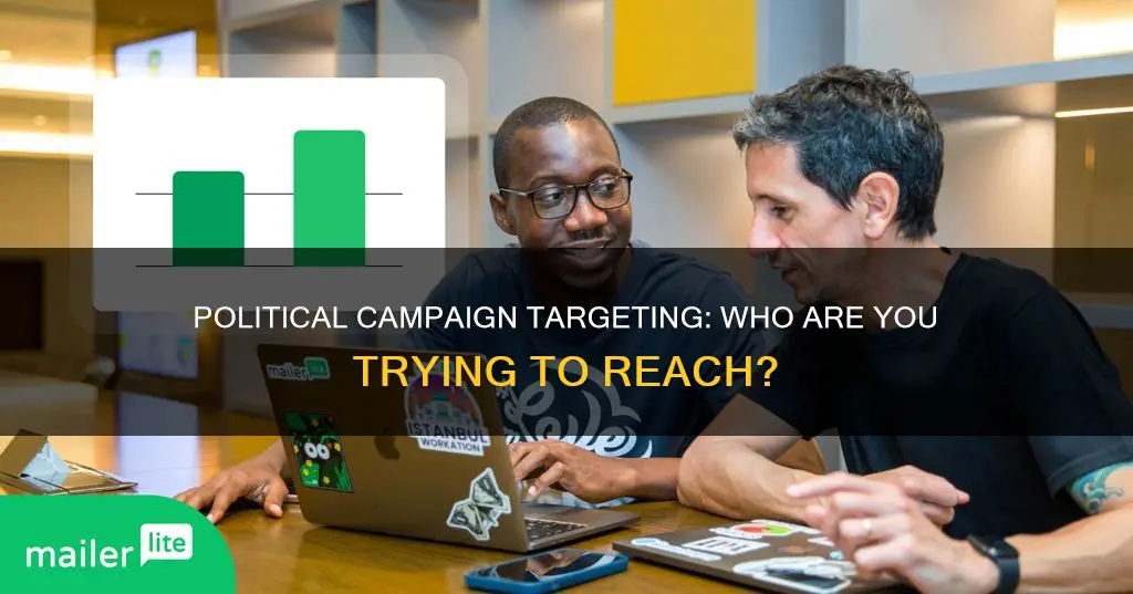 what is the target audience for a political campaign