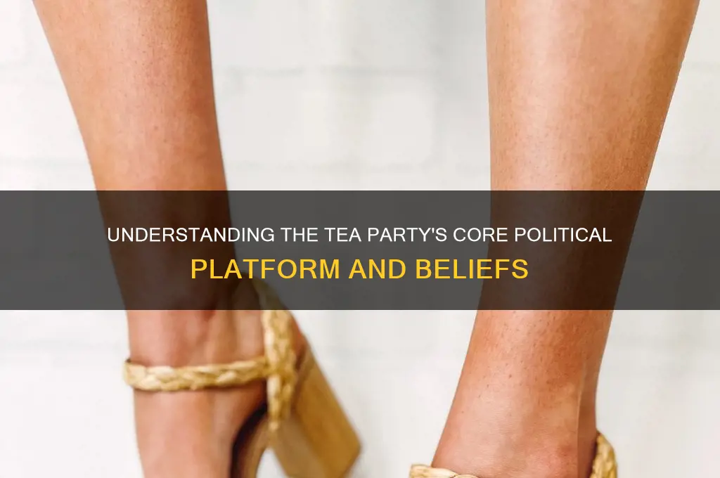 what is the tea party political platform