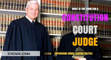 The Judge's Role: Understanding Constitutional Court Justices