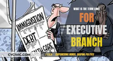 Executive Power: Term Limits and Their Impact