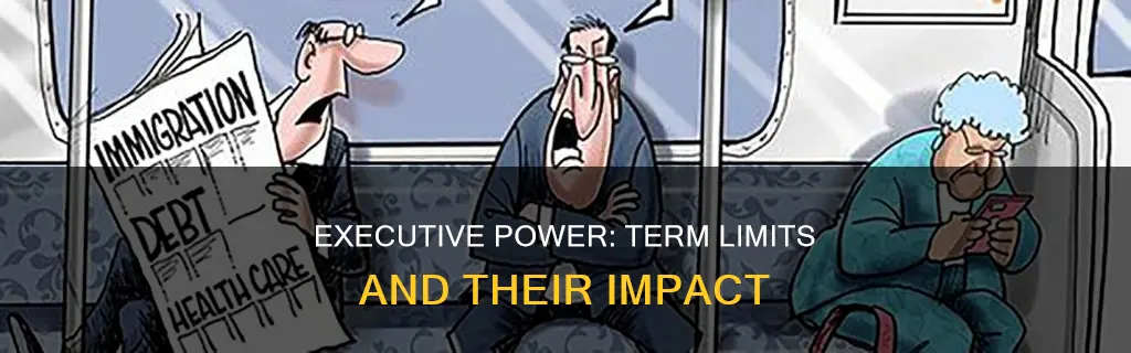 what is the term limit for executive branch